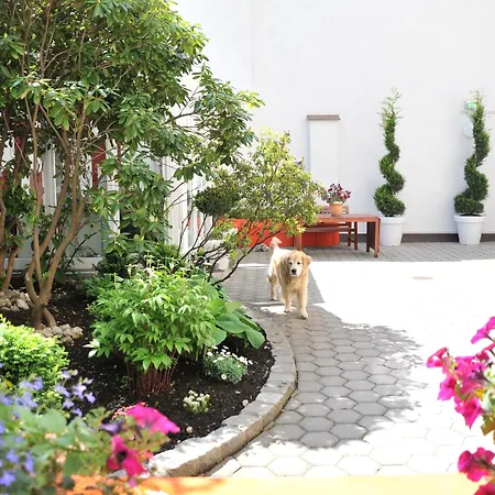 Arthotel Hotel 3*
